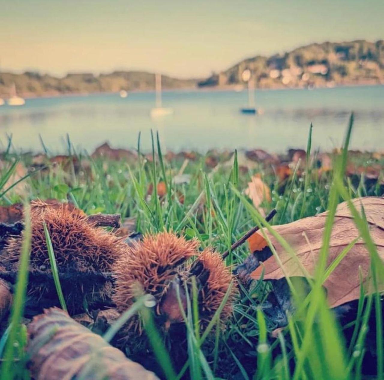Studio Au Bord Du Lac D'Eguzon Ngoại thất bức ảnh